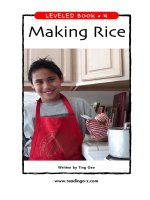 raz ln28 makingrice 