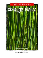 raz lk04 strangeplants 