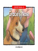 raz lb38 graciesnose 