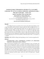 Đánh giá hoạt tính kháng oxi hoá của cao chiết ethanol từ lá cây lá đắng (vernonia amygdalina del.) thu hái tại Bà Rịa - Vũng Tàu