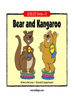 raz le06 bearandkanga 