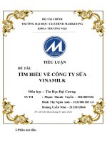 TIỂU LUẬN đề tài tìm HIỂU về CÔNG TY sữa VINAMILK 