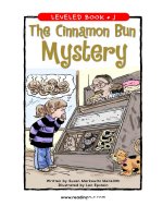 raz lj14 cinnamonbun 