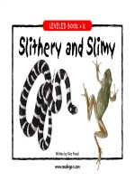 raz lk08 slithery 