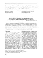 Ảnh hưởng của hydrogel giữ ẩm đến sinh trưởng của cây hương thảo (Rosmarinus officinalis L.) trồng chậu