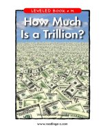 raz lm27 howmuchistrillion 