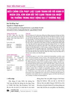 Điều chỉnh của pháp luật cạnh tranh đối với hành vi ngăn cản, kìm hãm đối thủ cạnh tranh gia nhập thị trường trong hoạt động đại lý thương mại 