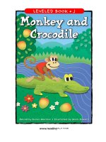 raz lj35 monkeyandcrocodile 