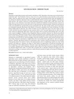 Myanmar cross-border trade