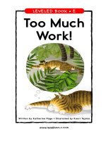 raz le29 toomuchwork 