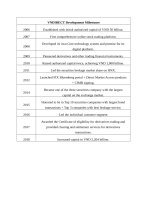 The vietnamese financial sector especially the securities market 0007