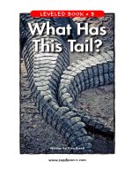 raz lb31 whathastail 