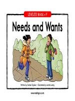 raz lf11 needsandwants 