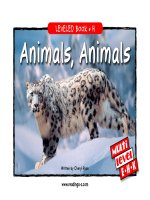 raz lh05 animalsanimals 