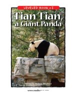 raz li33 tiantiangiantpanda 