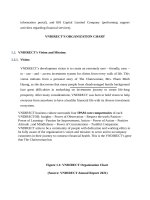 The vietnamese financial sector especially the securities market 0003