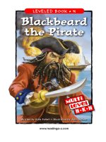 raz ln30 blackbeardpirate 