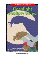 raz lf41 flashlightshadowshow 