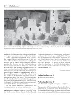 Encyclopedia of world history (facts on file library of world history) 7 volume set ( PDFDrive ) 337 