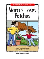 raz lm27 marcuslosespatches 