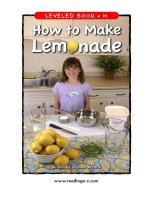 raz lm27 howtomakelemonade 