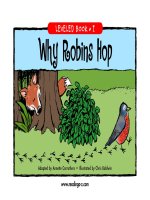 raz li33 whyrobinshop 