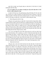 Tinh thần khởi nghiệp đóng vai trò quan trọng 0022