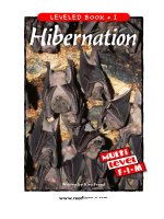 raz li32 hibernation 