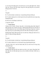 CƠ sở lý LUẬN đầu tư CHỨNG KHOÁN 0022