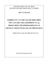Nghiên Cứu Và Chế Tạo Đế Sers Trên Nền Vật Liệu Zno, Graphene Và Ag Trong Phân Tích Rhodamine 6G Và Crystal Violet Bằng Quang Phổ Raman