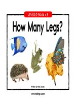 raz lb47 howmanylegs 