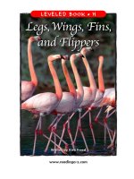 raz lh20 legswingsfins 