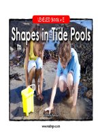 raz le20 shapestidepool 