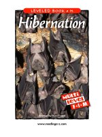 raz lm27 hibernation 