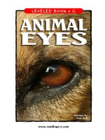 raz lg35 animaleyes 
