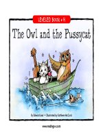 raz lh03 owlandpussycat 