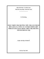 Phát triển thị trường tiêu thụ sản phẩm đèn Led của Công ty Cổ phần bóng đèn phích nước Rạng Đông trên thị trường thành phố Hà Nội