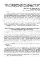 Ảnh hưởng của dịch trích hạt dưa lưới (Cucumis melo L.) lên sự ức chế hình thành và làm tan tinh thể calcium oxalate gây bệnh sỏi thận trong điều kiện in vitro