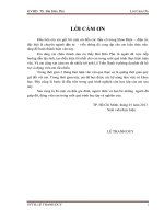 xây dựng hệ thống tự động giám sát và cảnh báo kịp thời khả năng xảy ra động đất trên lãnh thổ Việt Nam thông qua mạng truyền thông internet và di động