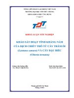 KHẢO SÁT HOẠT TÍNH KHÁNG NÁM CỦA DỊCH CHIẾT THÔ TỪ CÂY TRÂM ỎI (Laufana camare) VÀ CÂY ĐẬU BIẾC (Clitoria ternatea)