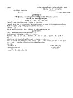 Mẫu Quyết định nâng bậc lương trước thời hạn do lập thành tích xuất sắc đối với viên chức