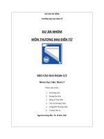 DỰ án NHÓM môn THƯƠNG mại điện tử xây DỰNG và áp DỤNG TEMPLATE mô HÌNH KINH DOANH CANVAS 