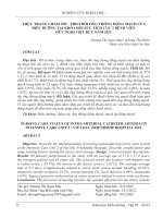 Thực trạng chăm sóc, theo dõi ống thông động mạch của điều dưỡng tại Khoa hồi sức tích cực 2 - Bệnh viện Hữu Nghị Việt Đức năm 2021