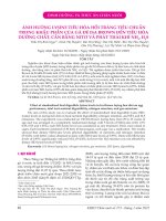 Ảnh hưởng lysine tiêu hóa hồi tràng tiêu chuẩn trong khẩu phần của gà đẻ ISA Brown đến tiêu hóa dưỡng chất, cân bằng nitơ và phát thải khí NH3, H2S
