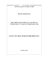 Luận văn Thạc sĩ Quản trị nhân lực: Phát triển nguồn nhân lực tại Công ty Cổ phần Đầu tư và Quản lý Khách sạn TNH