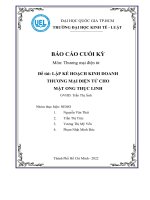 Môn thương mại điện tử đề tài lập kế HOẠCH KINH DOANH THƯƠNG mại điện tử CHO mật ONG THỤC LINH 