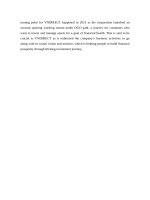 The vietnamese financial sector especially the securities market 0005