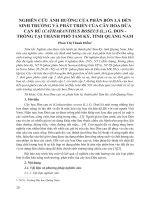 Nghiên cứu ảnh hưởng của phân bón lá đến sinh trưởng và phát triển của cây hoa dừa cạn rủ (Catharanthus roseus (L.) G. Don - trồng tại thành phố Tam Kỳ, tỉnh Quảng Nam