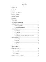 Ảnh hưởng của toluen đến sức khỏe con người