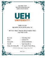 TIỂU LUẬN bộ môn NGÂN HÀNG đầu tư đề tài THỰC TRẠNG HOẠT ĐỘNG ma tại VIỆT NAM 